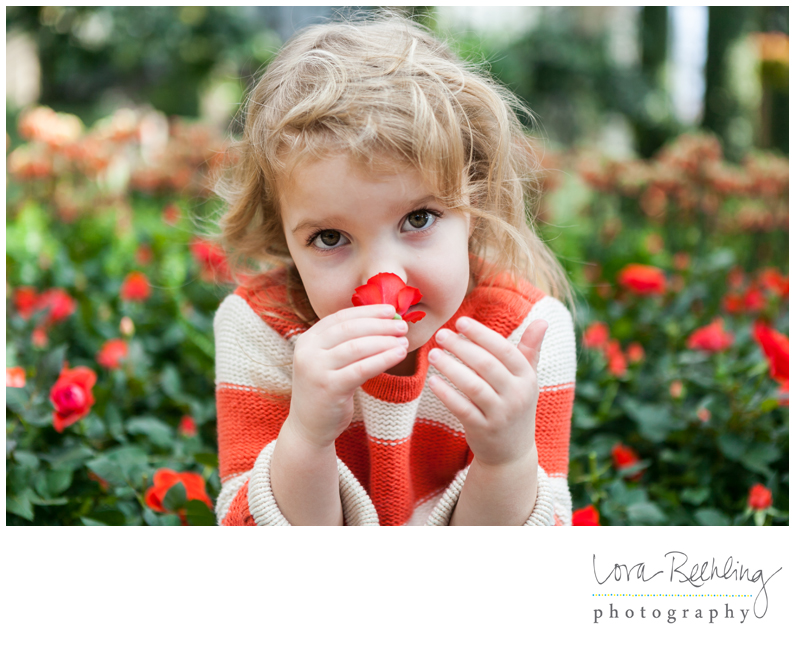 Blog Collage-1361566971739