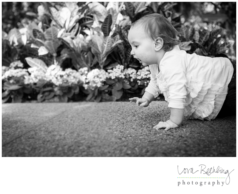 Blog-Collage-1361567343262