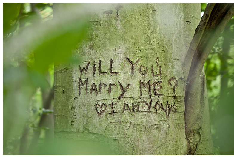 Blog Collage-1378147794727