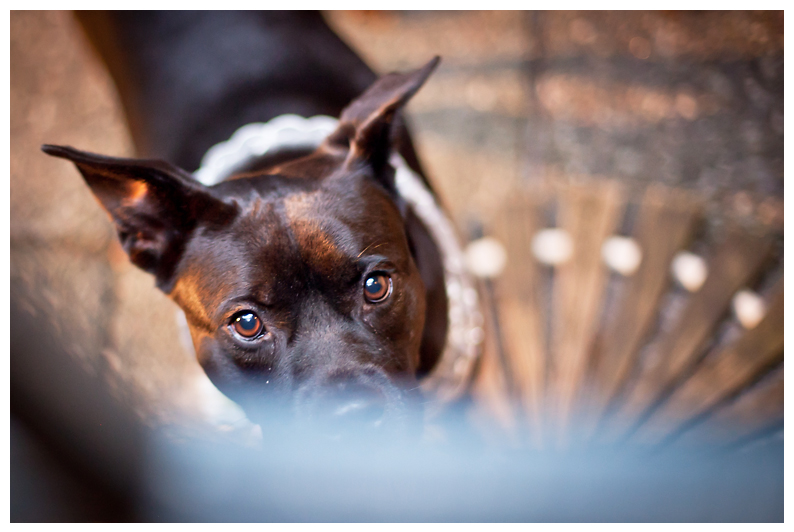 Blog-Collage-1378154251581