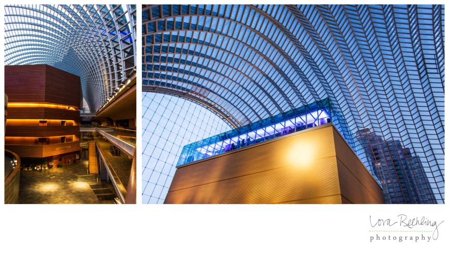 Blog-Collage-1416599167469