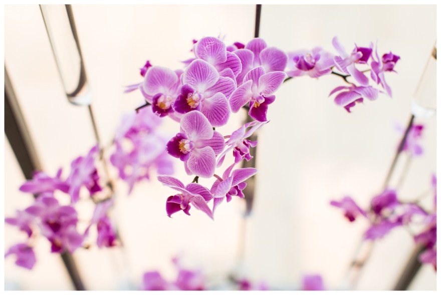 Blog-Collage-1416599272338