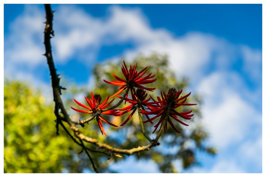 Matt&Andressa.Wedding.0086