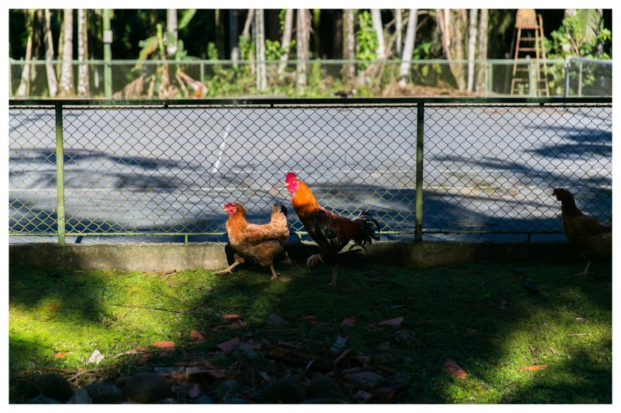 Matt&Andressa.Wedding.0108