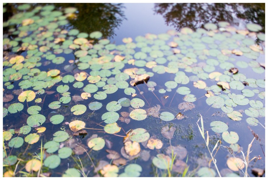 Laurel and Dan Blog 42